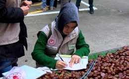 Pazarda Çin kestanesi alarmı