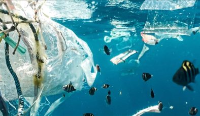 Akdeniz’deki plastik kirliliğinin boyutu alarm veriyor