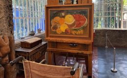 Frida Kahlo’nun evini yılda 500 bin kişi ziyaret ediyor