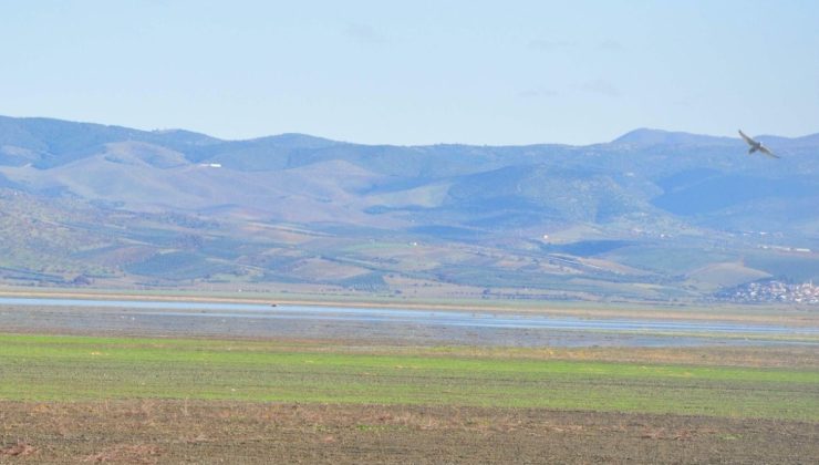 Kuraklık vurmuştu… Marmara Gölü için bilirkişi incelemesi kararı