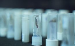 ABD’li müze müdürünü uyarmışlar ama…