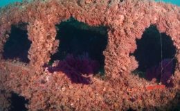 Çanakkale’nin gizli hazineleri: 109 yıllık batıklar görüntülendi