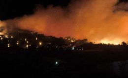 ‘Yangınların iklimle ilgisi yok, insan kaynaklı’