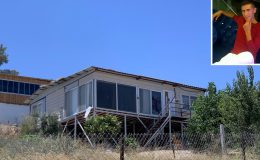 Halasına yaptığı evin parasını isteyince öldürüldü