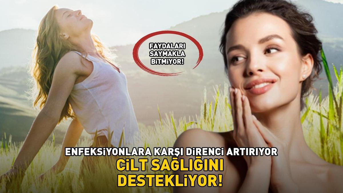 Kilosu 400 TL’den 90 TL’ye düştü! Kendisi küçük, faydaları büyük: Enfeksiyonlara karşı direnci artırıyor, cilt sağlını destekliyor