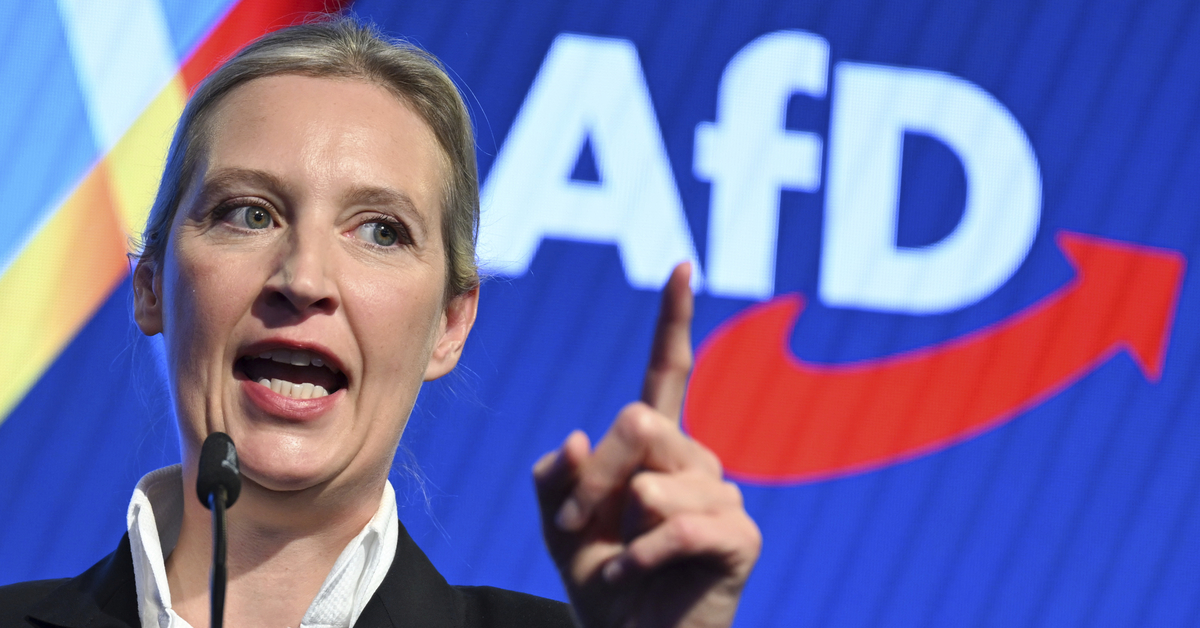 Almanya seçimlerinde AfD ikinci sıraya yerleşti: Alice Weidel hakkında neler biliniyor?