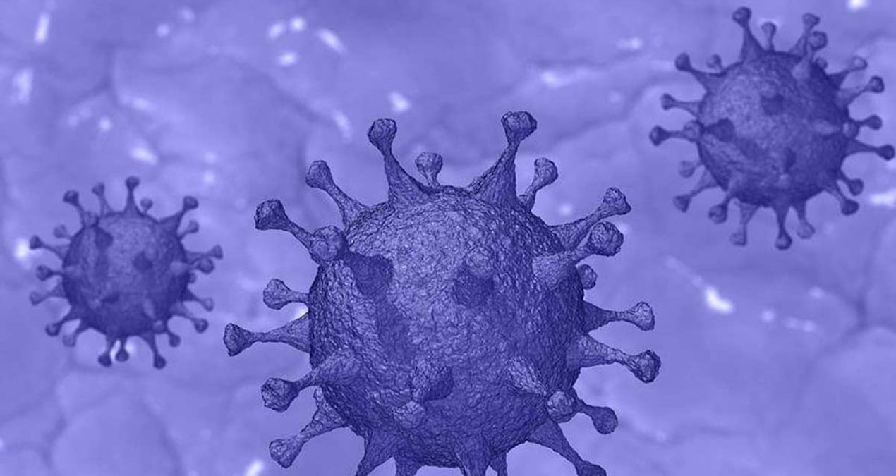 Amerikan medyası duyurdu, bilim insanları alarma geçti: Bir pandemiye hiç bu kadar yakın olmamıştık