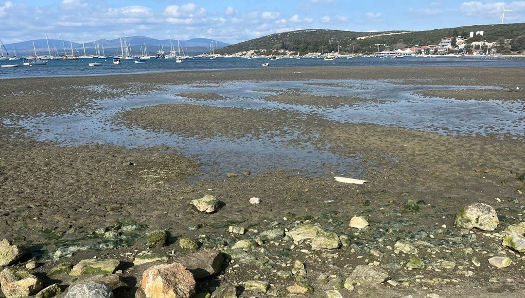 Ege’de deniz suyunda çekilme devam ediyor | Uzmanından açıklama: Depremlerle ilgili var mı?